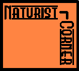 Naturist-Corner Website and Forum